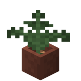 Посаженный папоротник.png